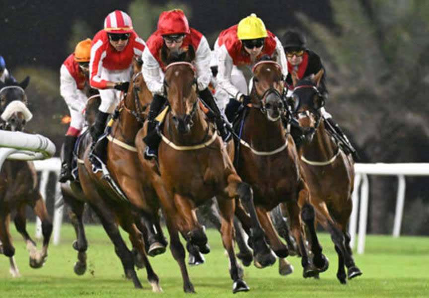 Rashid Equestrian and Horseracing Club
